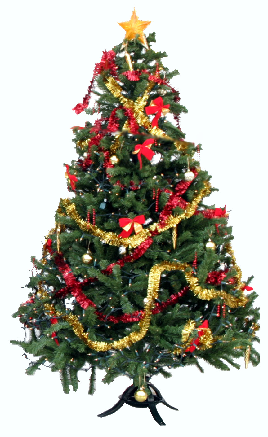 Christmas Tree Sho Pictures Wallpapers